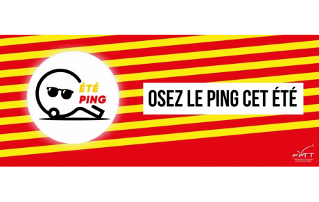 Opérations Eté PING